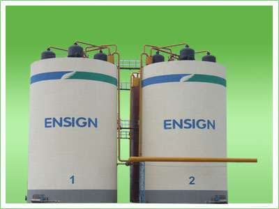 IC�͸�Ч����������